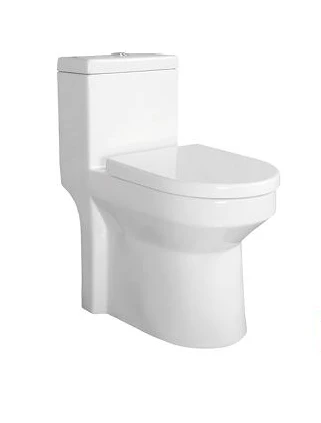 One Piece Height Toilet For Modern-style Bathrooms